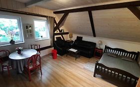 Apartament Jeleń w smokingu